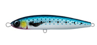 DAIWA SALTIGA ROUGH RIDE [CL:Sardine SZ:140F]