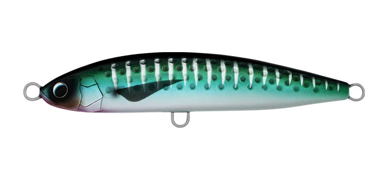 DAIWA SALTIGA ROUGH RIDE [CL:Saury SZ:160F]