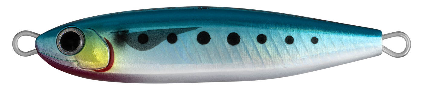 DAIWA SALTIGA OVER THERE [CL:Sardine SZ:80S]
