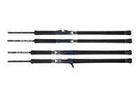 DAIWA 25 SALTIGA J ROD [ML:S59-3/5]