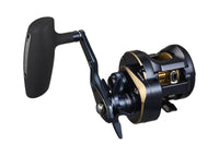 DAIWA 25 SALTIGA 300H