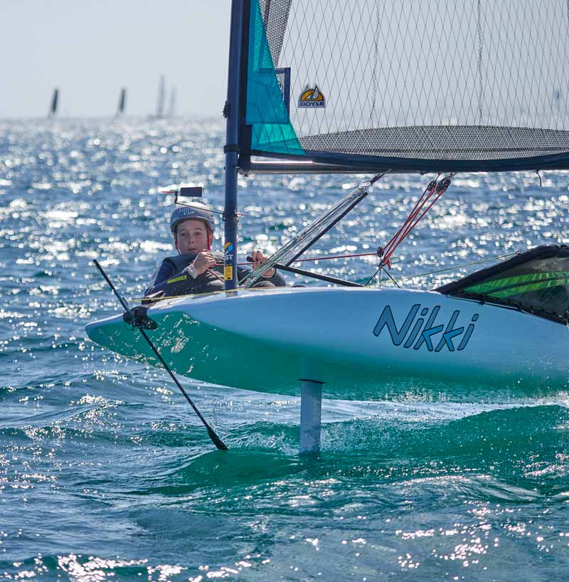 Ronstan Horizontal Mount Carbon Wind Vane Pro